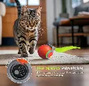 Screenshot 2025-09-28 at 12-06-03 Amazon.com Petrendy Juguete interactivo para gatos 2.0 juguetes móviles automáticos para gatos de interior bola eléctrica para mascotas con cola ajuste de dos velocidades juguete de juego p[...].webp